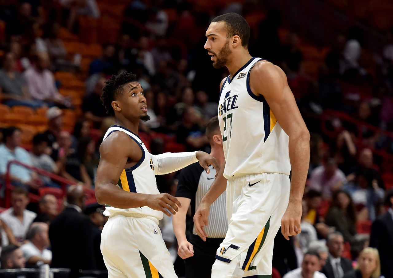 他饲养了一 他饲养了一