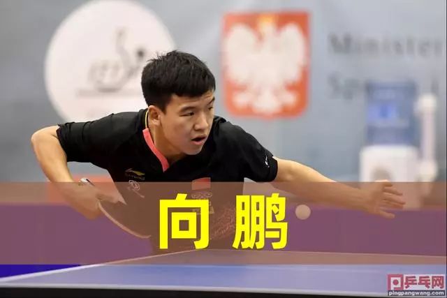 可能在明年 可能在明年